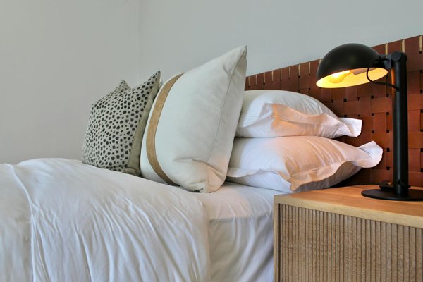 Créer un Paradis Canin dans Votre Jardin : Guide Complet et Pratique