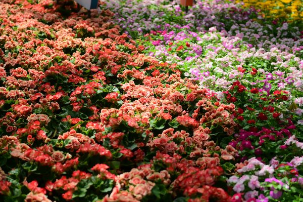 Choisissez les meilleurs matériaux pour une salle de bain antihumidité et durable