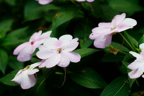 Mobilier sur-mesure pour hébergements collectifs innovants